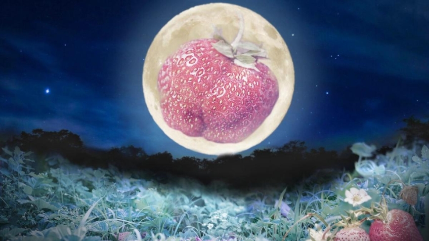 迎接夏至 6月21日将现“草莓月亮”